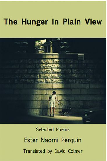 hunger-in-plain-view