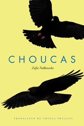 choucas-2