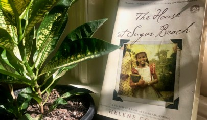 A fascinating memoir